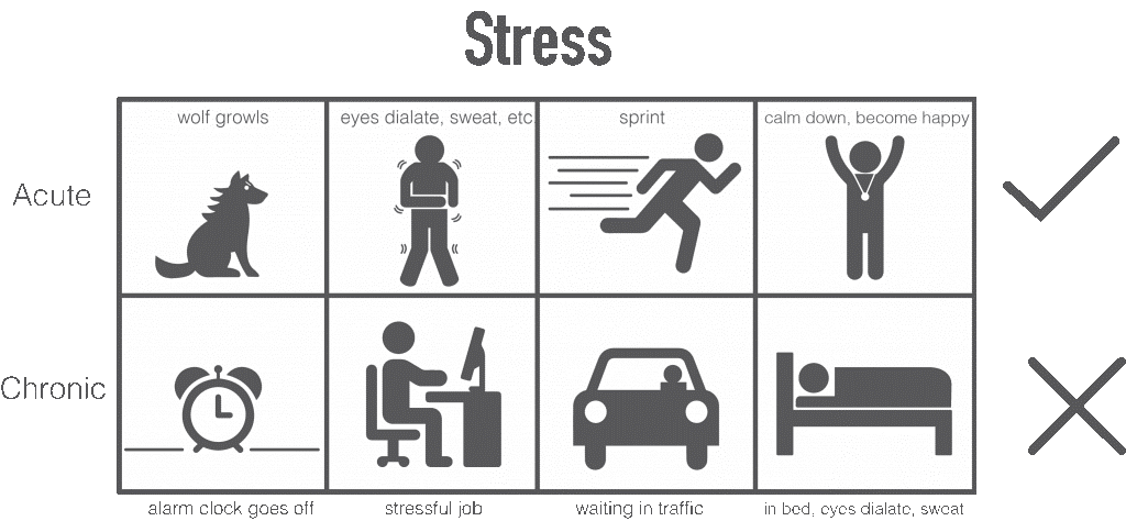 Стресс — беспокойство о вещах, которые ничего на самом деле не значит