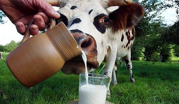 Потребление молока в культуризме
